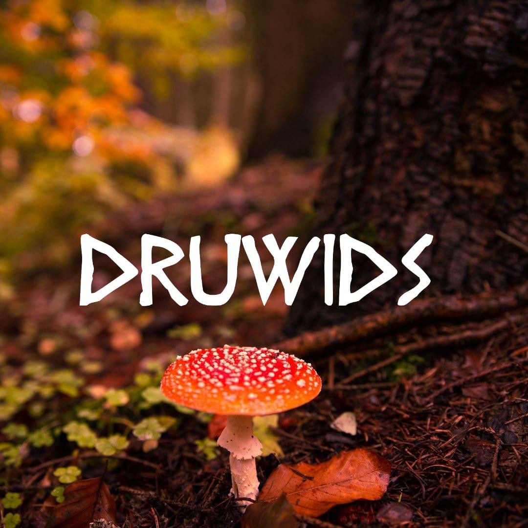 Druwids Räuchershop – hochwertiges Räucherwerk, Fliegenpilze und Aromaöle!