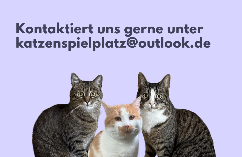 Schreibt mir unter katzenspielplatz@outlook.de
