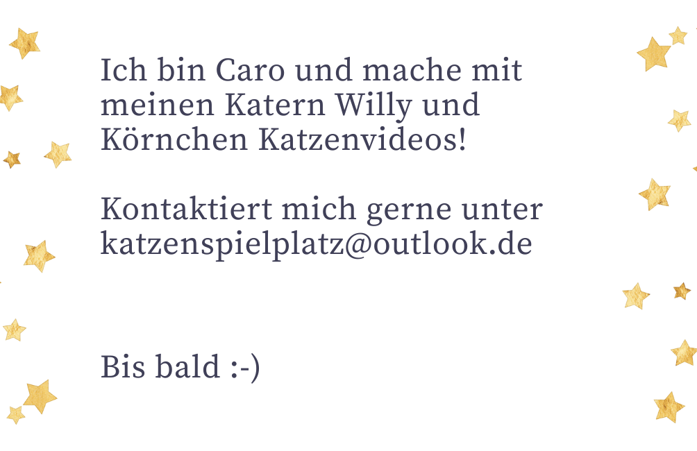 Schreibt mir unter katzenspielplatz@outlook.de