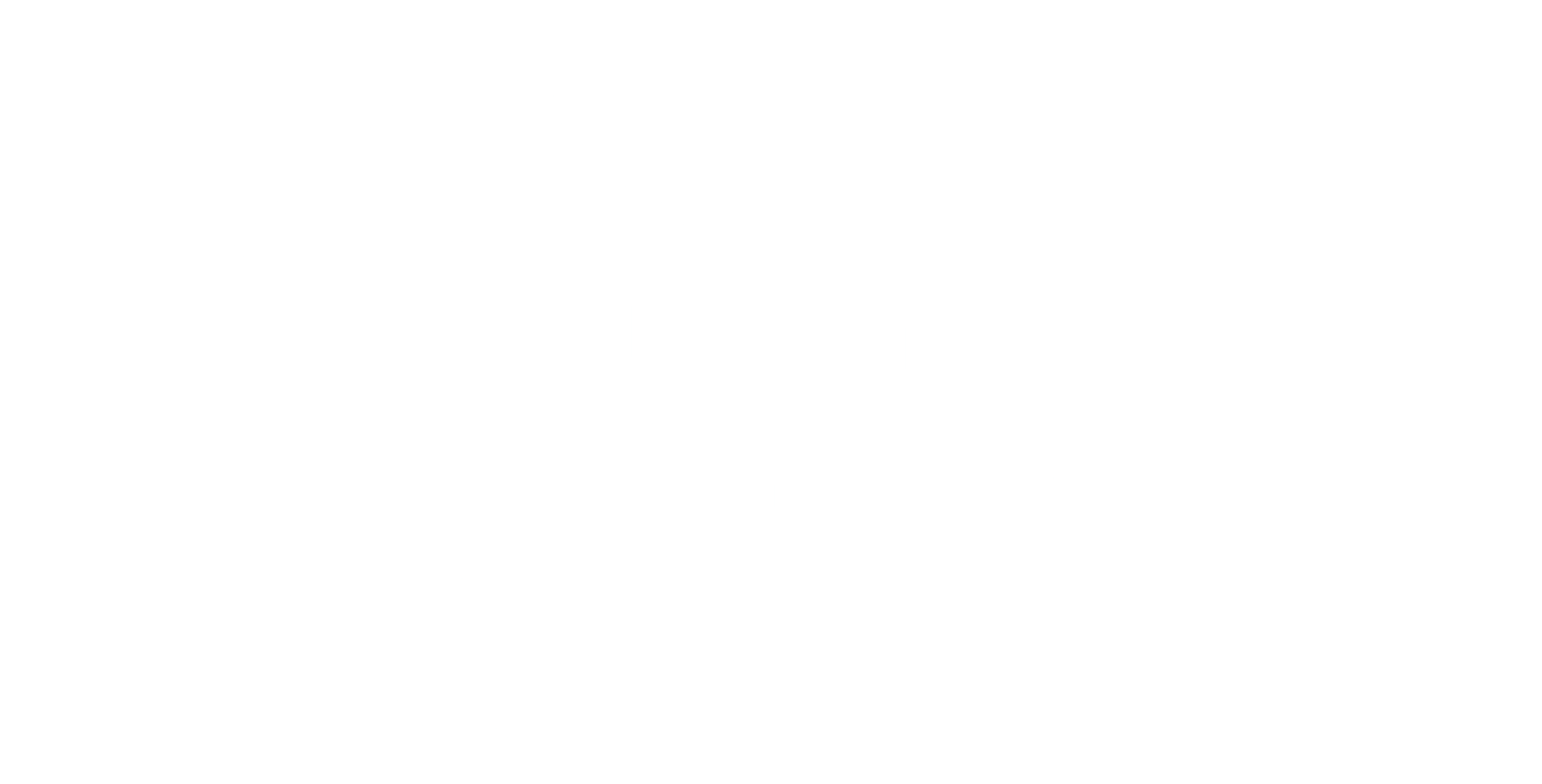 Sebastian Flake Logo